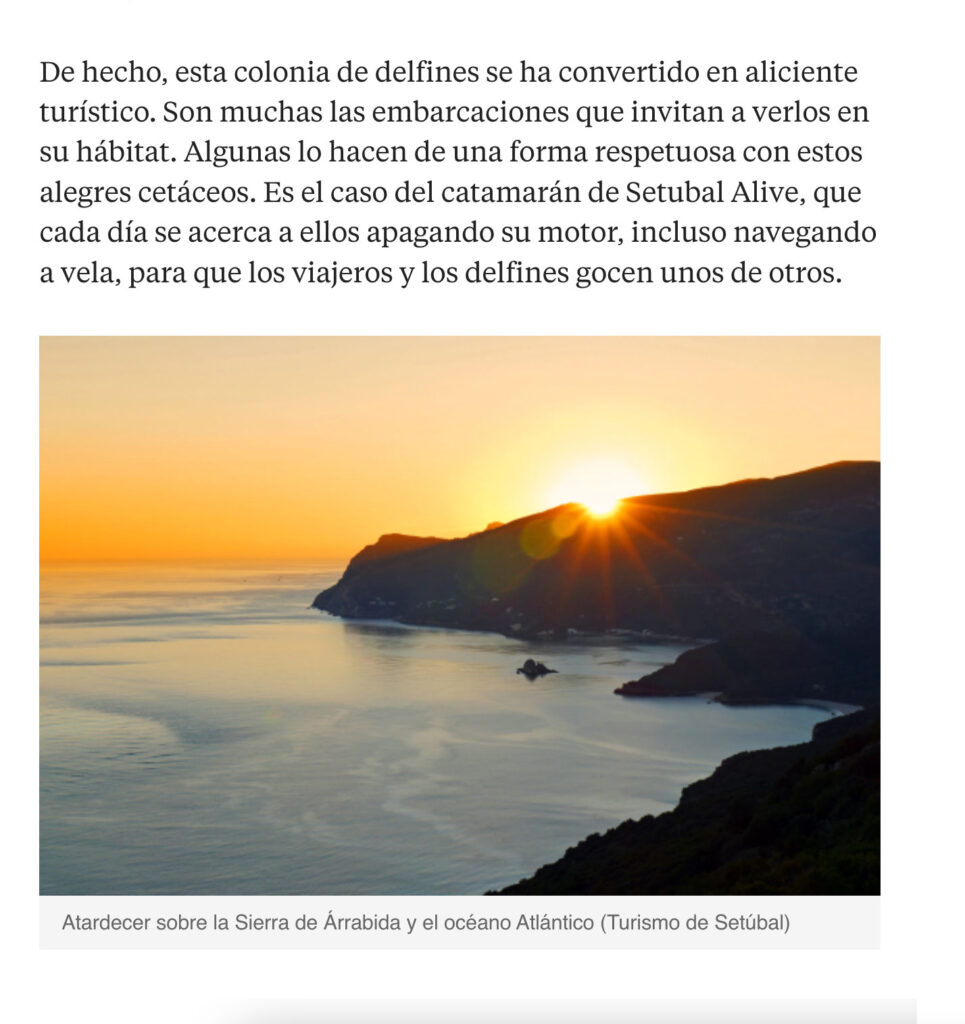 lavanguardia-news1